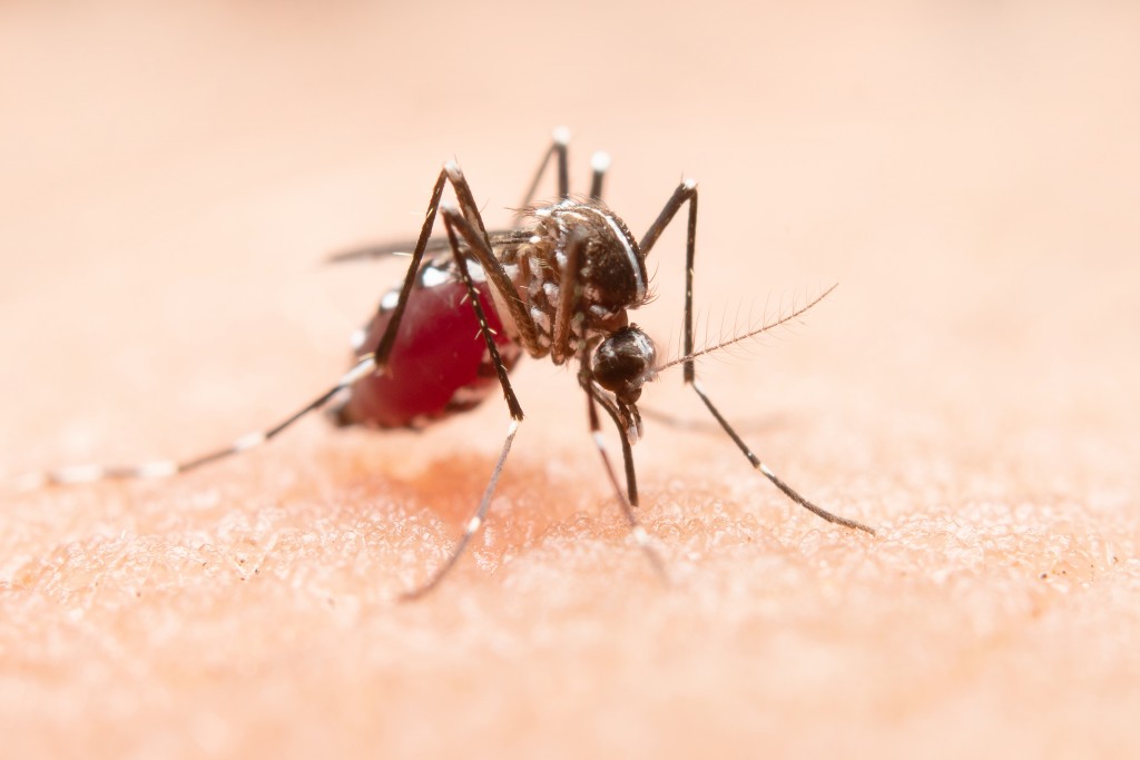 Aumento dos casos de dengue preocupa região