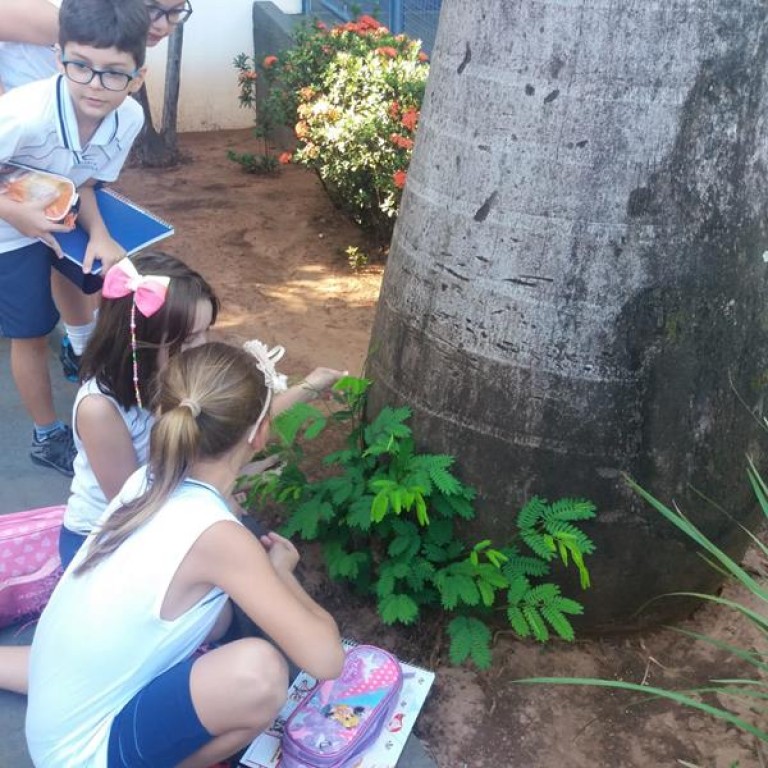 Colégio Catanduva realiza atividades de pesquisa e leitura