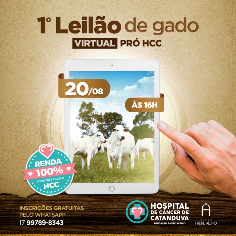 HCC promove leilão virtual