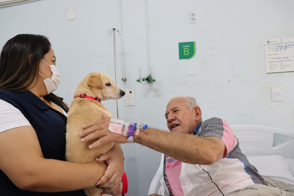 Cachorrinha ‘Sofia’ alegra a manhã dos pacientes do HEC