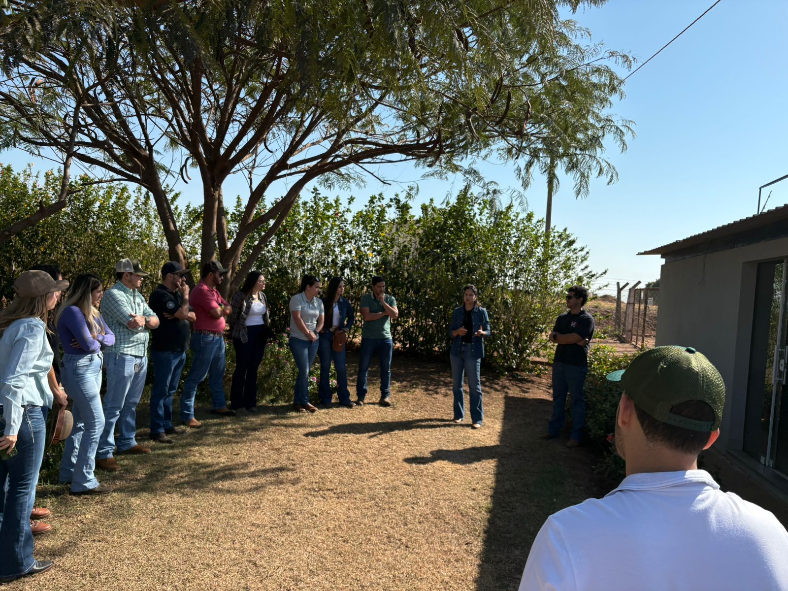Alunos da Engenharia Agronômica da UNIFIPA participam de aula prática sobre cultivo de café