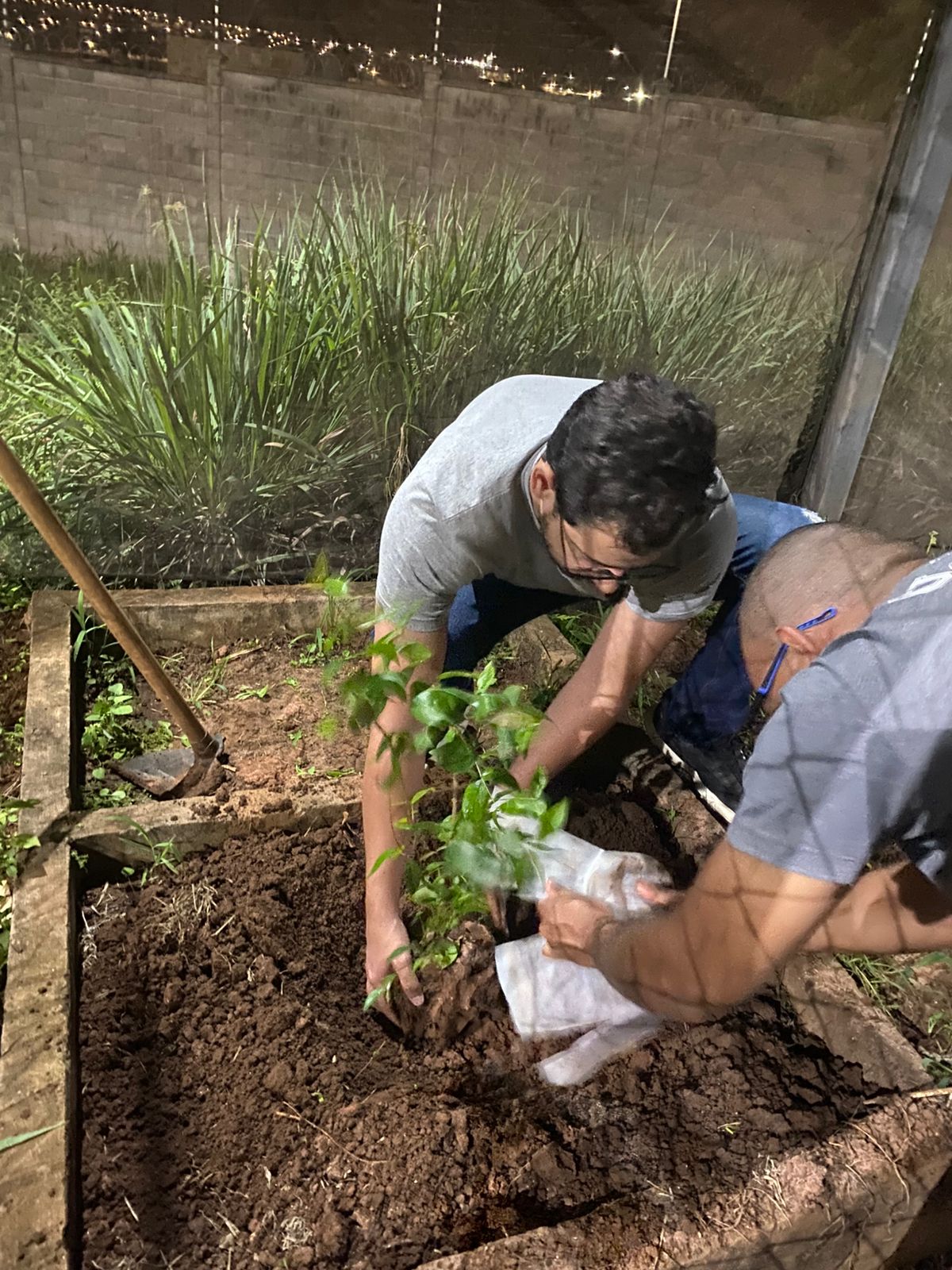 Farmácia Unifipa desenvolve projeto com plantas medicinais para pesquisas e extensão