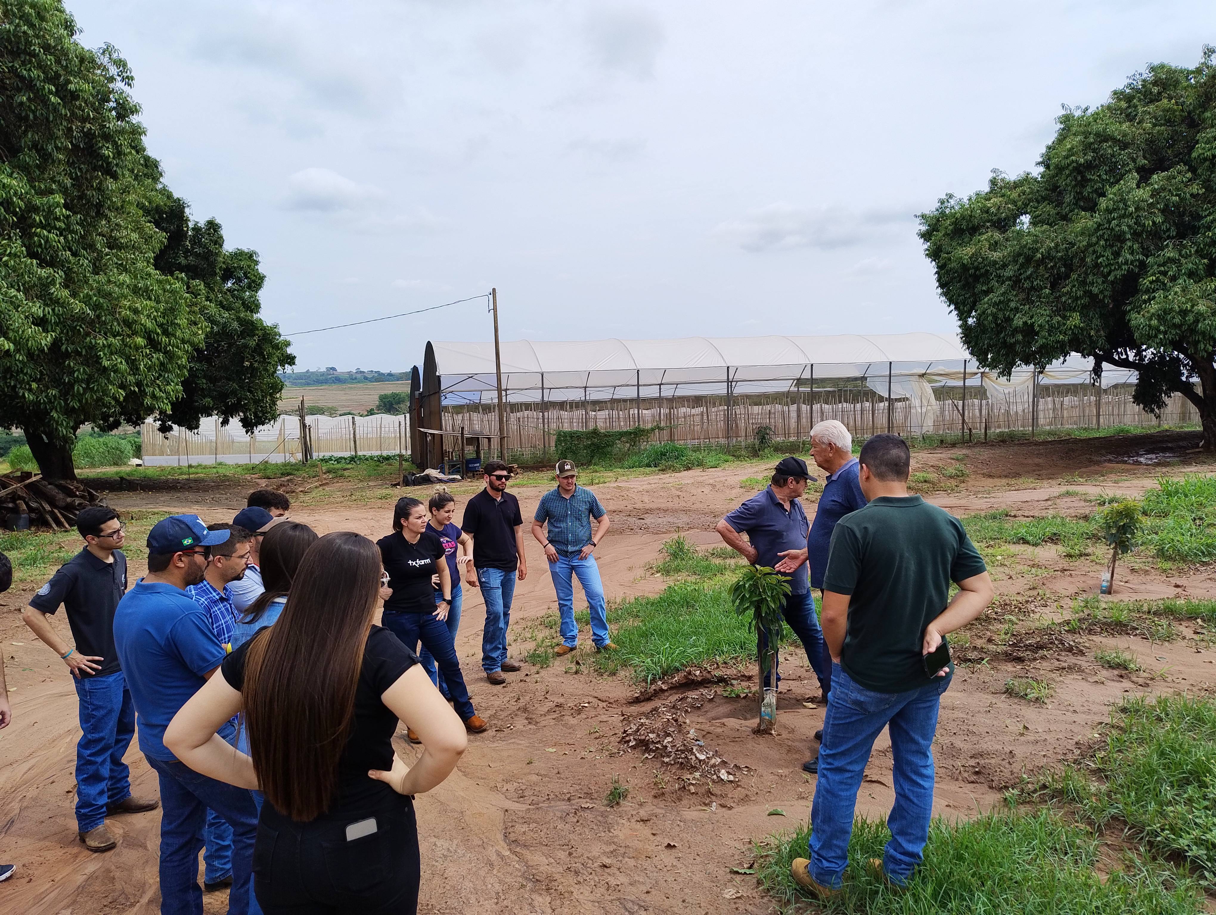 Engenharia Agronômica UNIFIPA faz visita técnica a propriedade modelo de olericultura