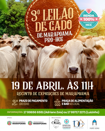 Marapoama realiza 3º Leilão de Gado em prol do HCC